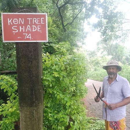 Kon Tree Shade Appartement Dambulla Buitenkant foto
